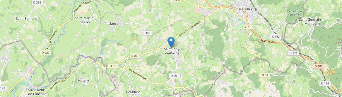 Saint-Igny-de-Roche - Carte