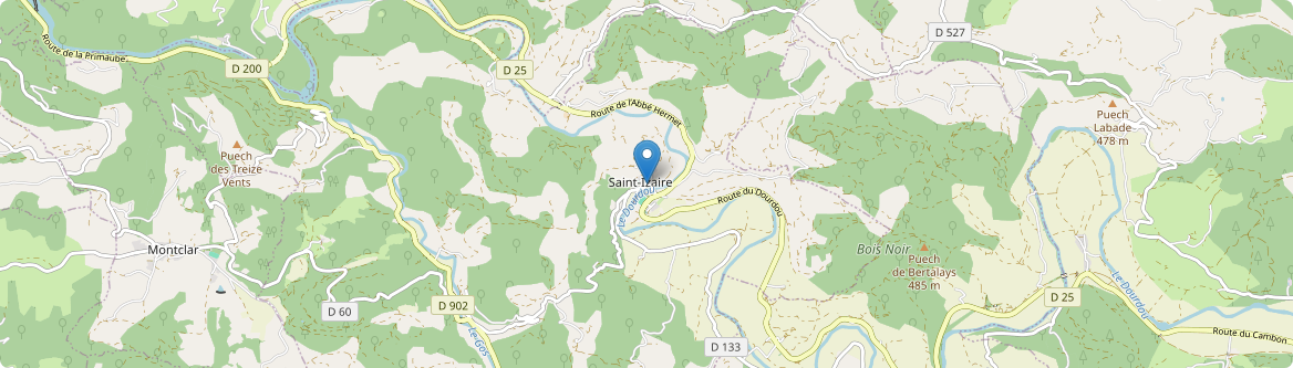 Saint-Izaire - Carte