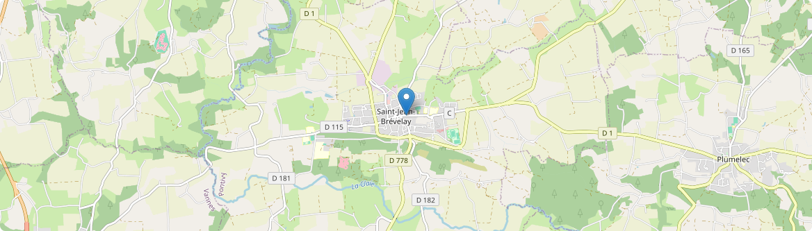 Saint-Jean-Brévelay - Carte