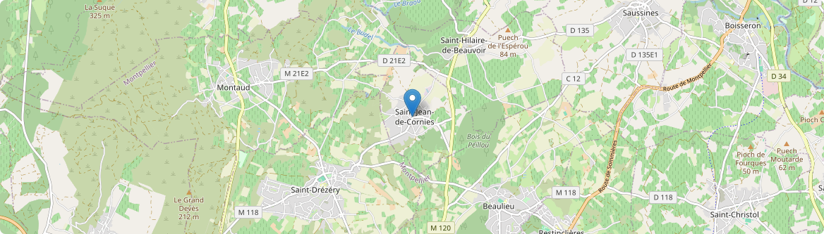 Saint-Jean-de-Cornies - Carte