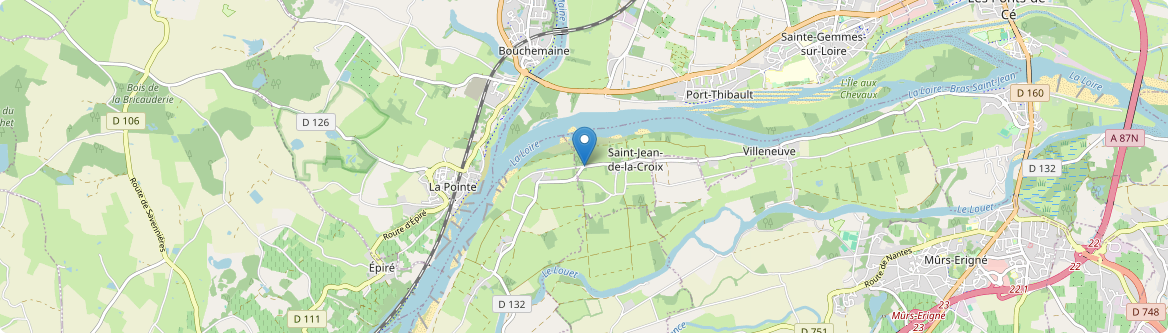 Saint-Jean-de-la-Croix - Carte