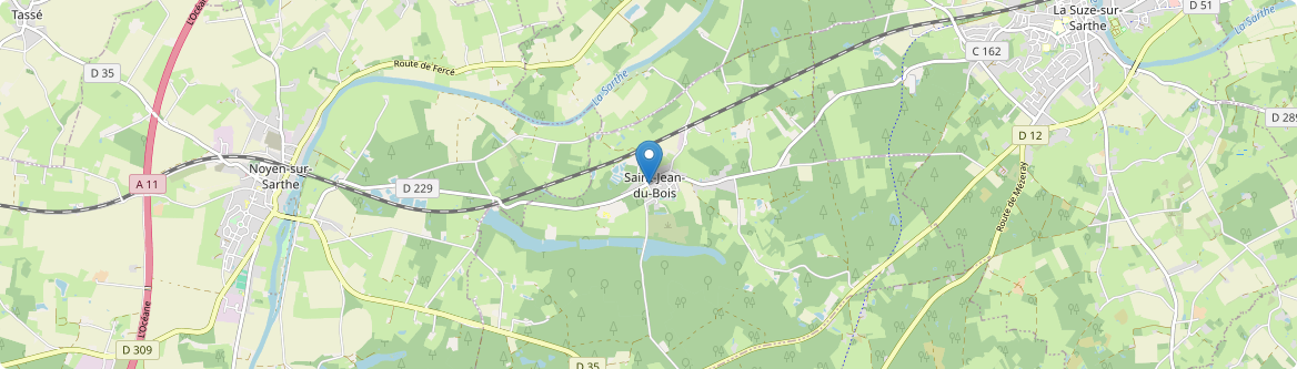 Saint-Jean-du-Bois - Carte