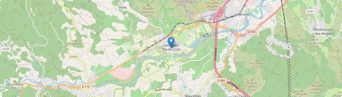 Saint-Jean-Pla-de-Corts - Carte