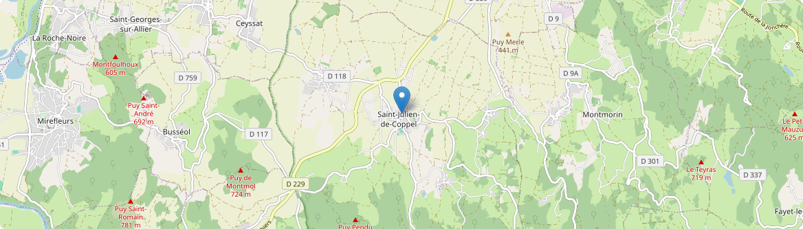 Saint-Julien-de-Coppel - Carte