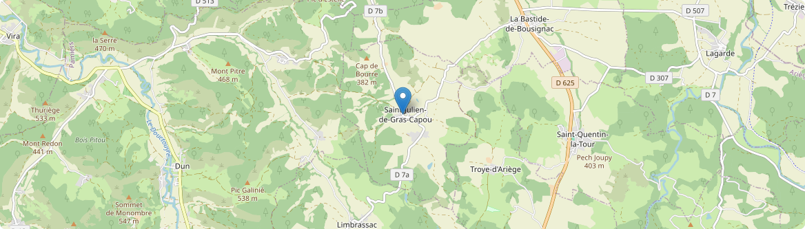 Saint-Julien-de-Gras-Capou - Carte