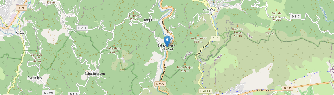Saint-Julien-de-la-Nef - Carte