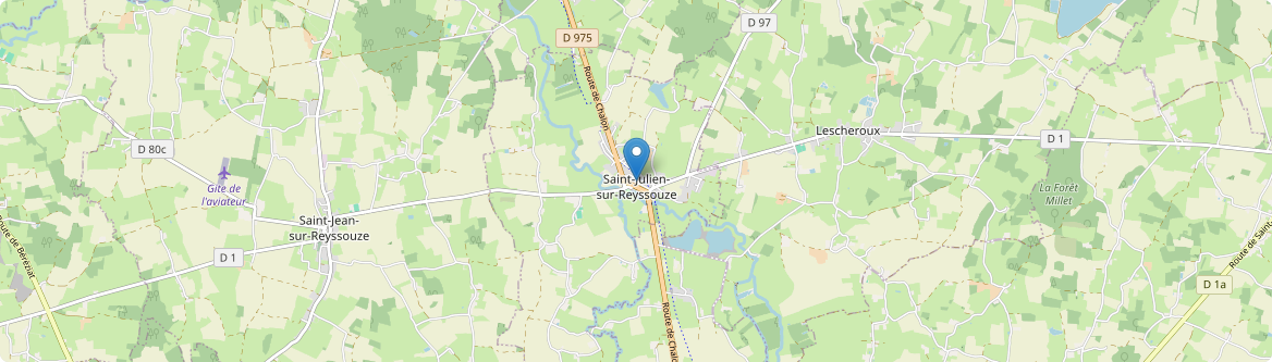 Saint-Julien-sur-Reyssouze - Carte