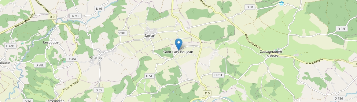 Saint-Lary-Boujean - Carte