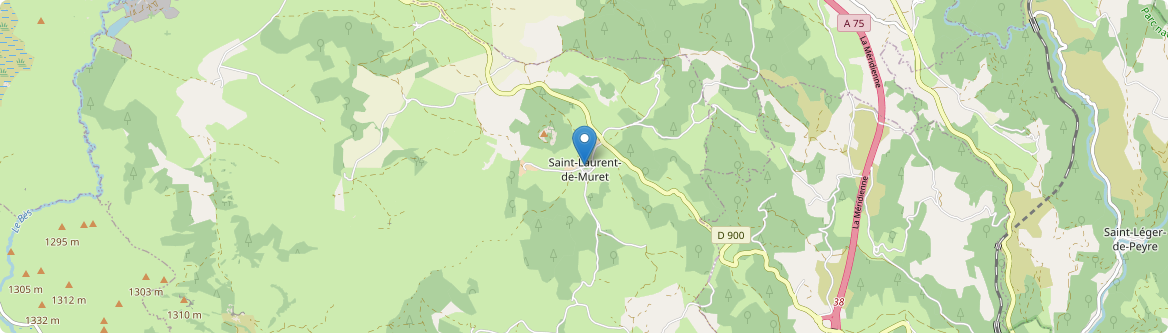 Saint-Laurent-de-Muret - Carte