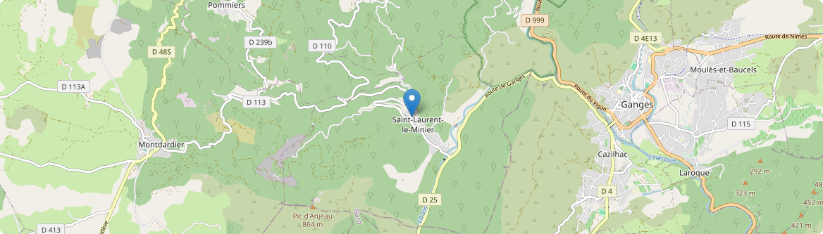 Saint-Laurent-le-Minier - Carte