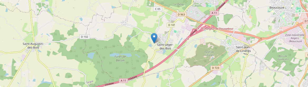 Saint-Léger-de-Linières - Carte