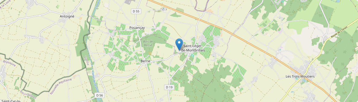 Saint-Léger-de-Montbrillais - Carte