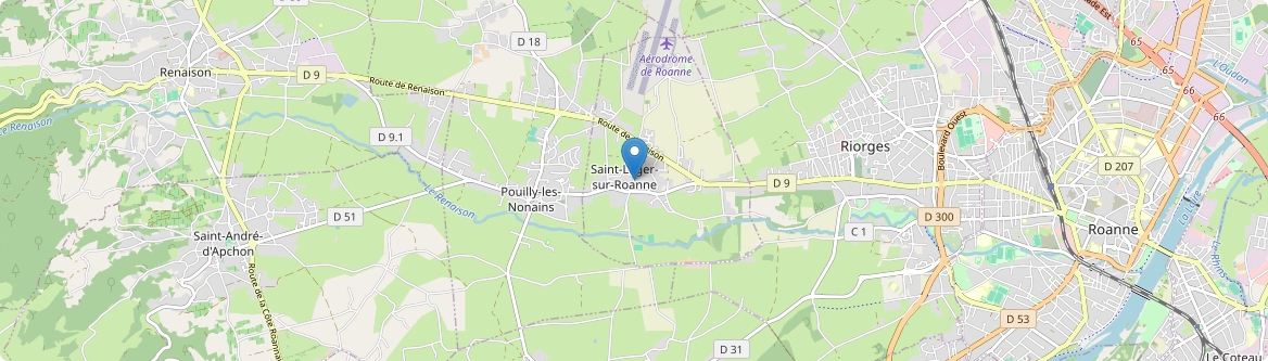 Saint-Léger-sur-Roanne - Carte