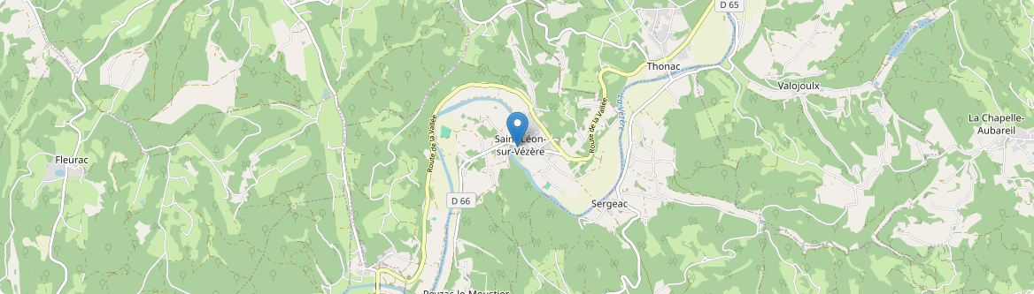 Saint-Léon-sur-Vézère - Carte