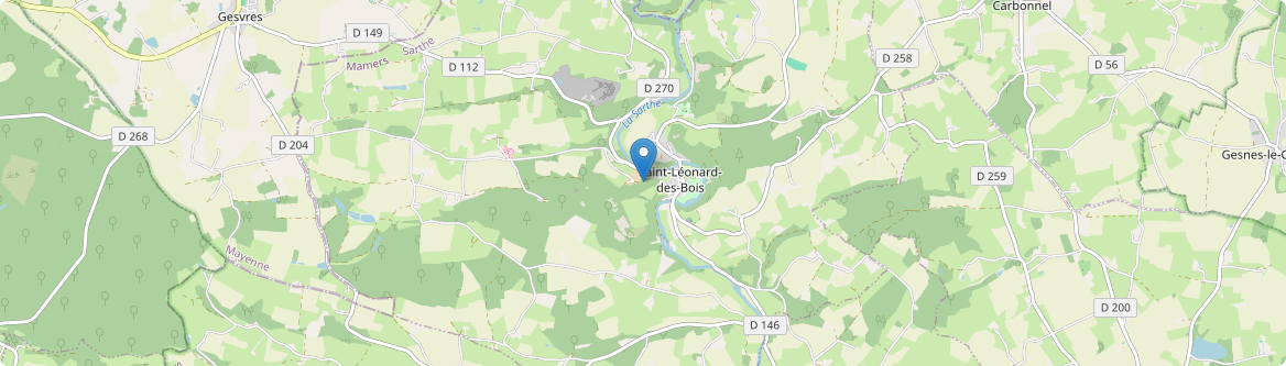 Saint-Léonard-des-Bois - Carte