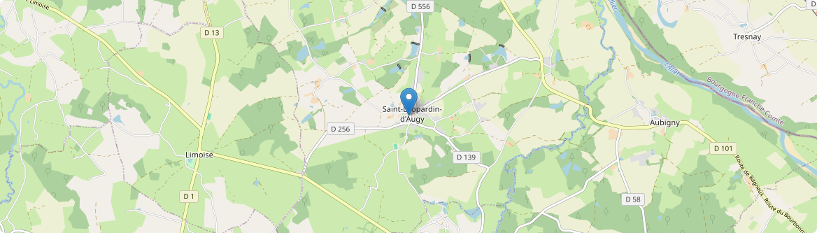 Saint-Léopardin-d'Augy - Carte