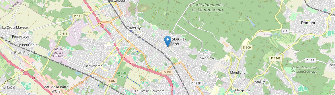 Saint-Leu-la-Forêt - Carte