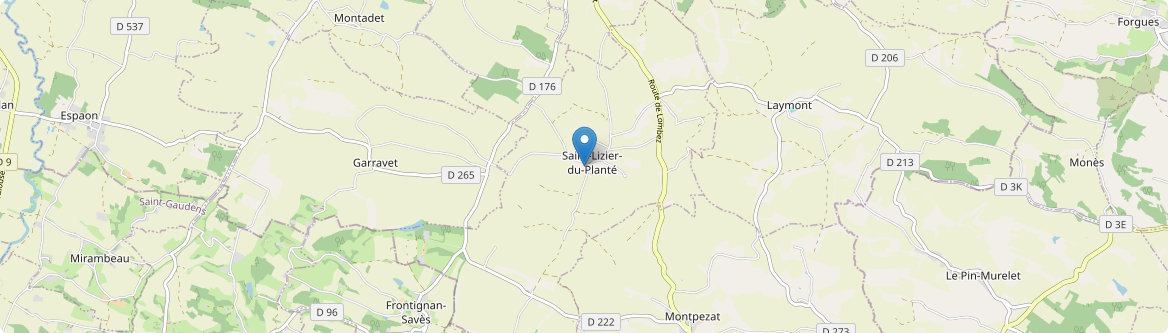 Saint-Lizier-du-Planté - Carte