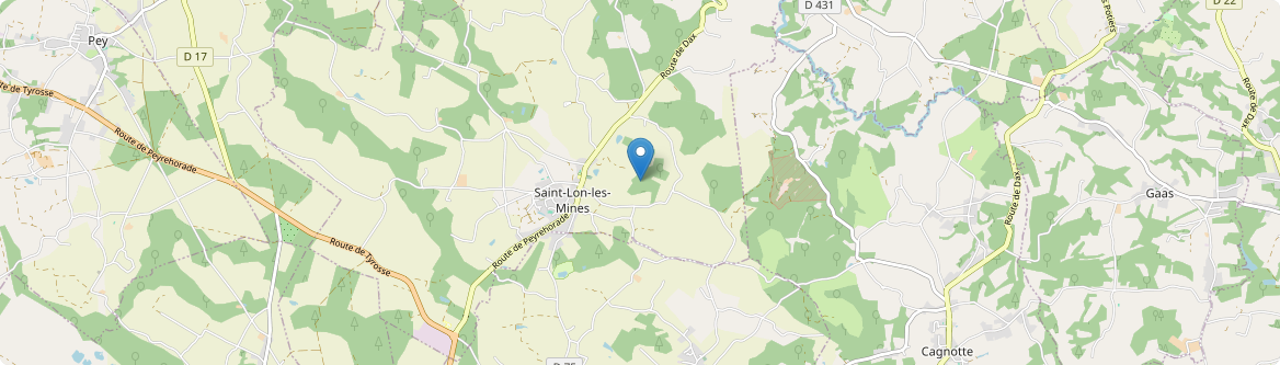 Saint-Lon-les-Mines - Carte