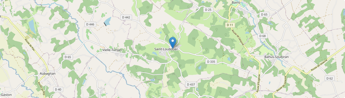 Saint-Loubouer - Carte