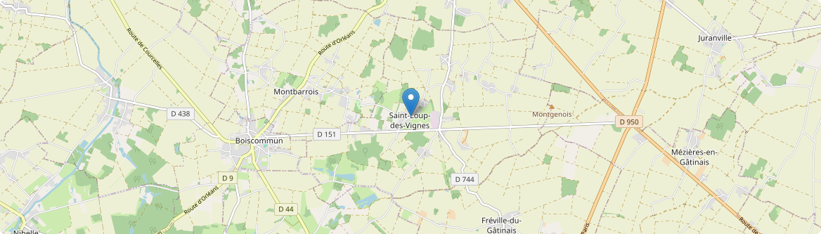 Saint-Loup-des-Vignes - Carte
