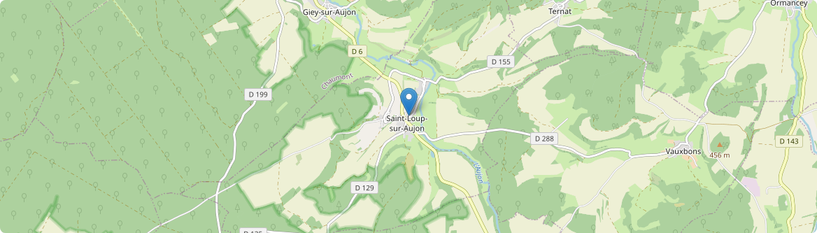 Saint-Loup-sur-Aujon - Carte