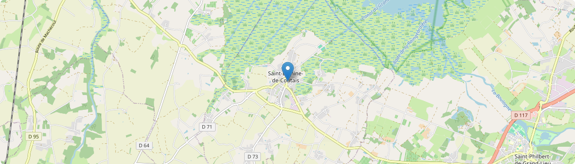 Saint-Lumine-de-Coutais - Carte