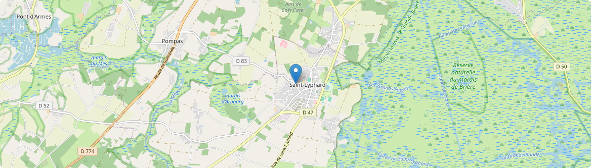 Saint-Lyphard - Carte
