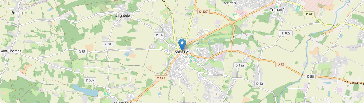 Saint-Lys - Carte