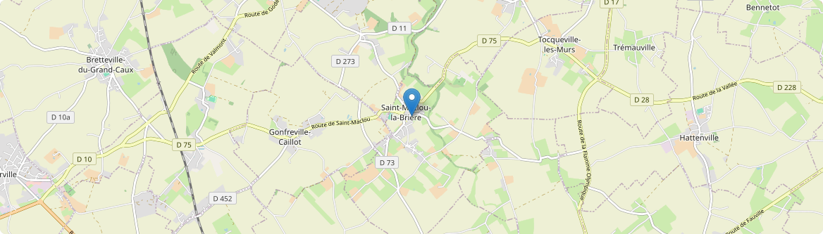 Saint-Maclou-la-Brière - Carte