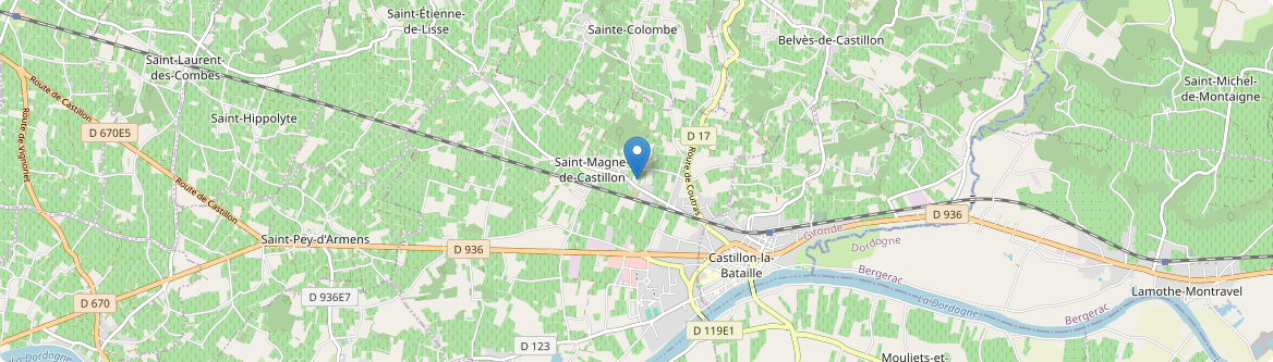 Saint-Magne-de-Castillon - Carte