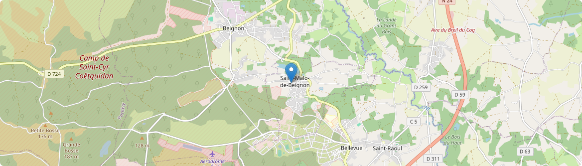 Saint-Malo-de-Beignon - Carte