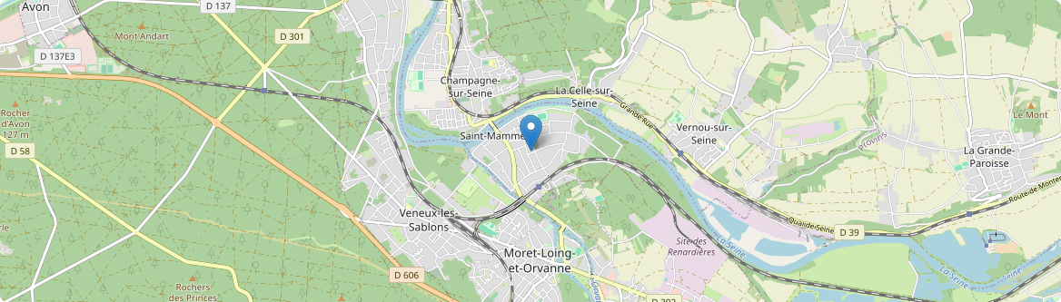 Saint-Mammès - Carte