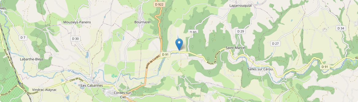 Saint-Marcel-Campes - Carte