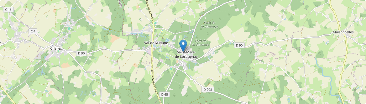 Saint-Mars-de-Locquenay - Carte