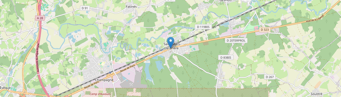 Saint-Mars-la-Brière - Carte