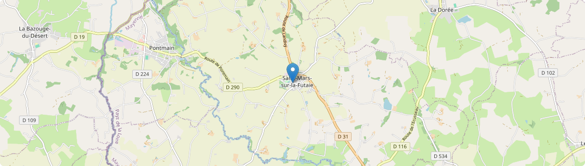 Saint-Mars-sur-la-Futaie - Carte