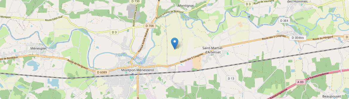 Saint-Martial-d'Artenset - Carte