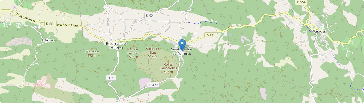 Saint-Martin-de-Pallières - Carte