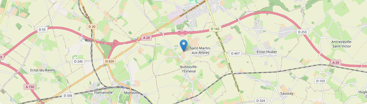 Saint-Martin-aux-Arbres - Carte