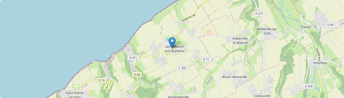 Saint-Martin-aux-Buneaux - Carte