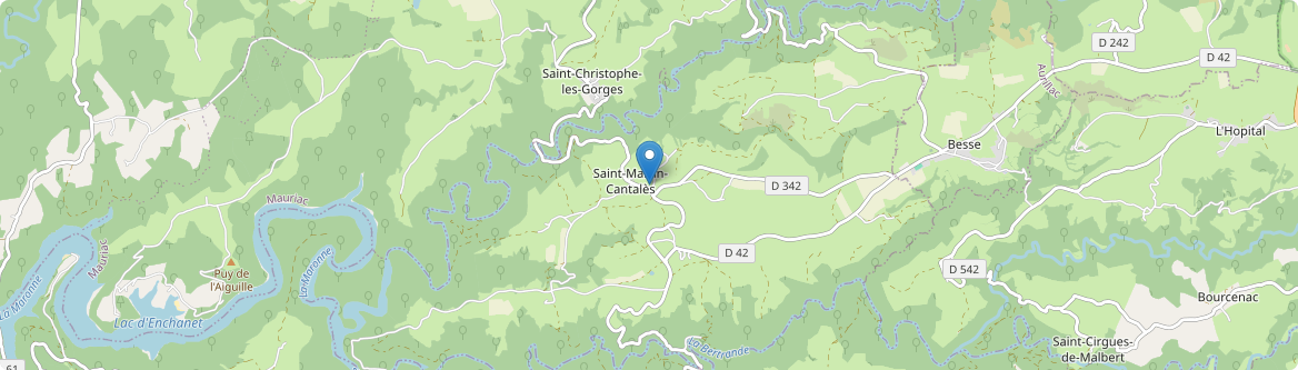 Saint-Martin-Cantalès - Carte