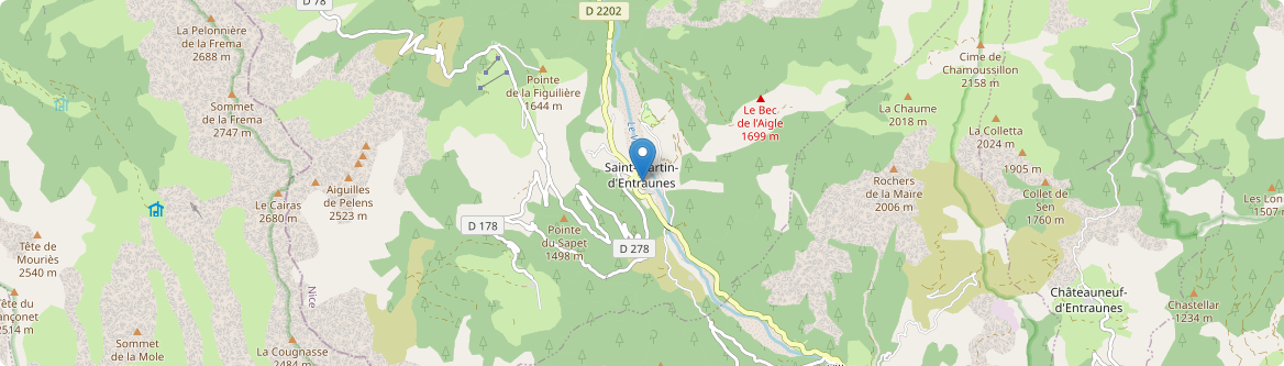 Saint-Martin-d'Entraunes - Carte