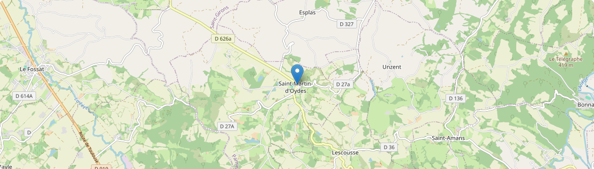 Saint-Martin-d'Oydes - Carte