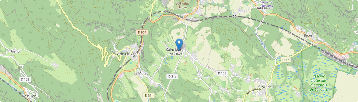 Saint-Martin-de-Bavel - Carte