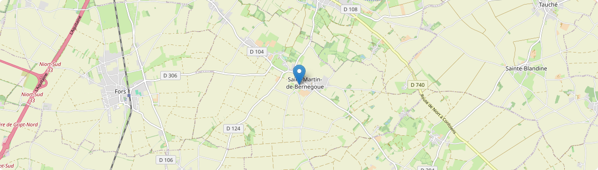 Saint-Martin-de-Bernegoue - Carte
