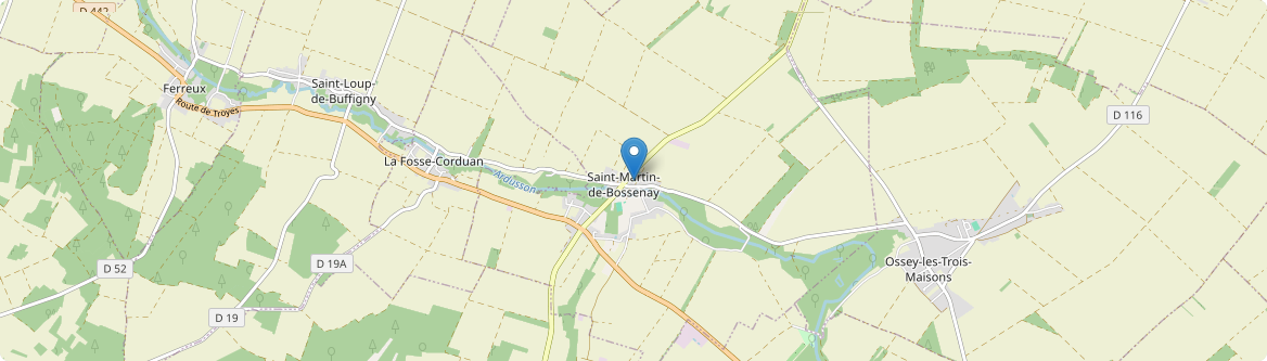 Saint-Martin-de-Bossenay - Carte