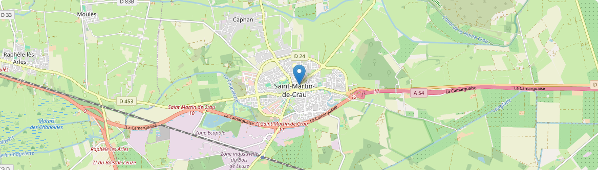 Saint-Martin-de-Crau - Carte