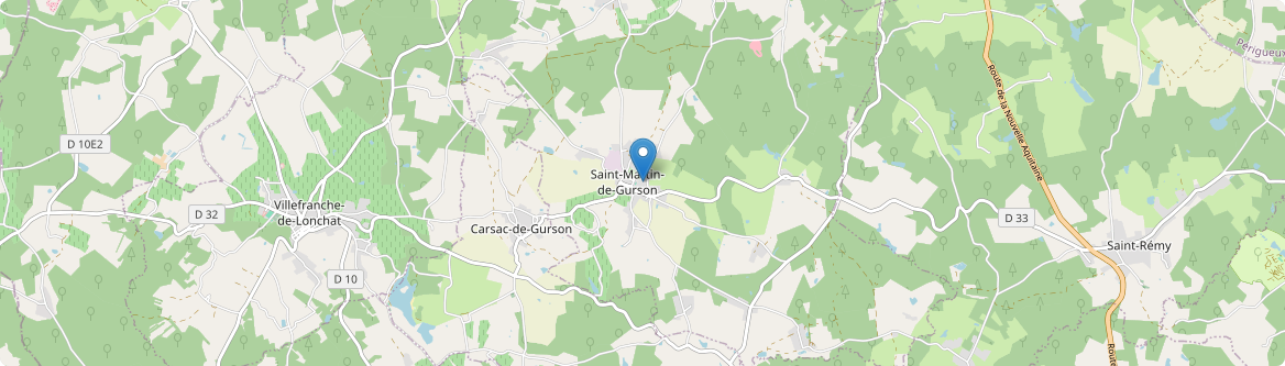 Saint-Martin-de-Gurson - Carte