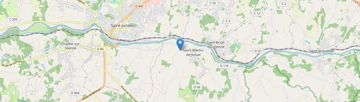 Saint-Martin-de-Jussac - Carte